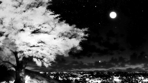 Background animation